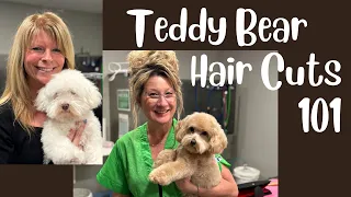 Dog Grooming Basics - Doing the Teddy Bear Haircut at Home