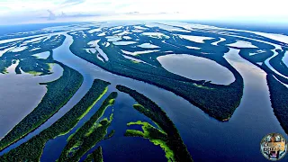 Amazonas Delta - Eine der größten und artenreichsten Landschaften der Welt | Cube's Doku's