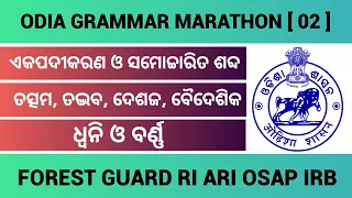 OSSSC Forest Guard Odia Grammar Marathon Class || Odia Grammar Marathon || Class 02 || #osssc #osap