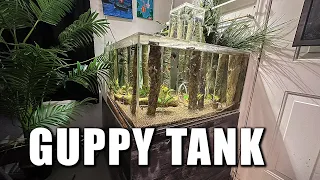 The Guppy aquarium