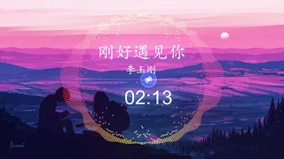 刚好遇见你 - 李玉刚 || 刚好遇见你 抖音DJ版 【我们哭了 我们笑着 我们抬头望天空 星星还亮着几颗】