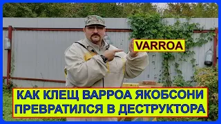 📘 Как клещ Варроа Якобсони стал Варроа Деструктором 📘