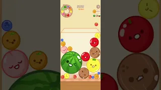 Playing Fruits Merger: Melon Maker Game