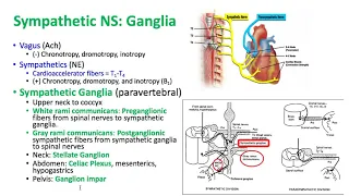 Cardiac Keywords 2018 - Dr. Schell