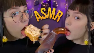 ASMR COM MEL | FAVO DE MEL & HONEY JELLY 🍯