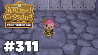 Designing NEW Basement - Animal Crossing City Folk (Let's Play Ep 311)