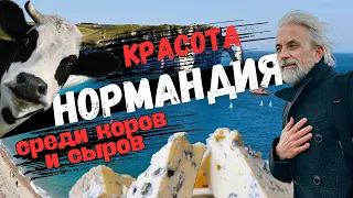 КРАСОТА СРЕДИ КОРОВ И СЫРОВ. НОРМАНДИЯ.