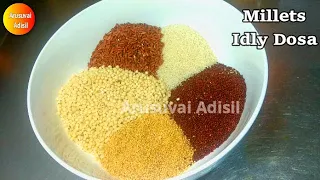 Millets Idly dosa recipe in Tamil|சிறுதானிய இட்லி தோசை மாவு||Healthy Millet Idli dosa batter recipe