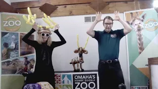 Zoo From Home :: Bongo - Omaha's Henry Doorly Zoo and Aquarium