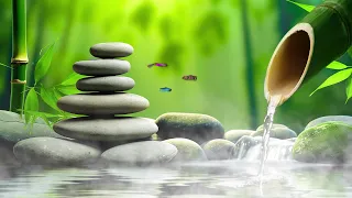 Relaxing Piano Music with Nature View, Deep Sleep Music - Meditation Music, Water Sounds, Bamboo