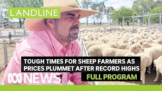 A sheep slump, the farmers embracing change, and selling outback real estate | Landline full program