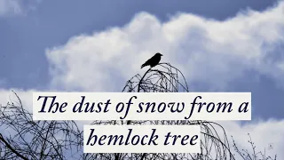 Dust Of Snow- by Robert Frost