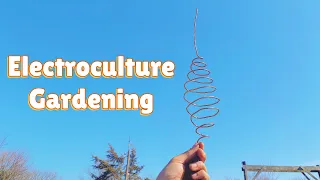 Electroculture Gardening | Putting Copper Coils and Antennas in our Garden