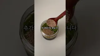 -9kg 빠지는 레시피! 만능 양념장 요거 하나면 다 돼~^^