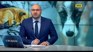На Львовщине школьные работники утопили собаку на глазах у детей
