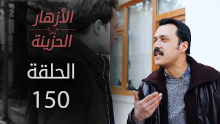 مسلسل الأزهار الحزينة | الحلقة 150 | الموسم الأول