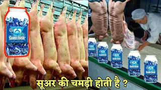 देखिए फैक्ट्री में CENTER FRESH कैसे बनती है ✅ How things are made in Factory | Chewing gum making.