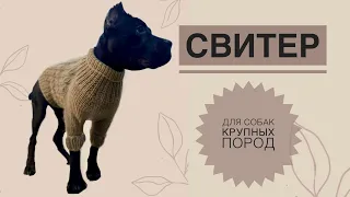 Свитер для собак крупных пород / Вязаный свитер для собак / Как связать свитер для собак / Вязание