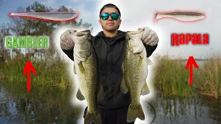 This one BAIT did the trick when Bass Fishing in cold weather!