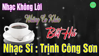 Hòa Tấu Nhạc Không Lời Những Ca Khúc Bất Hủ Nhạc Sĩ Trịnh Công Sơn _ Nhạc Phòng Trà Ru Ngủ Hay Nhất