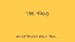 Mix 24: The Field - 2006-2018 "An Extended Field Trip" (Kompakt Records)