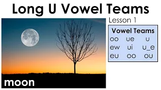 Long U Vowel Teams - oo, ue, ew, ui - Lesson 1