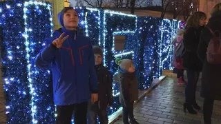 Киев новогодняя ёлка 2018
