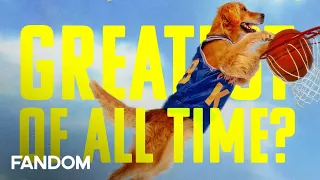 By The Numbers | Is Air Bud The Greatest Athlete Ever?