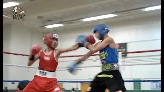 Alex Alvarado vs Lehnox Rodriguez 4th Green Belt Challenge