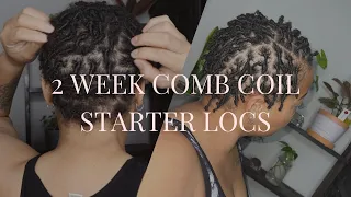 2 Week Starter Locs Update| Short Comb Coil Wash & Retwist