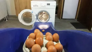 Experiment -  Dropping eggs down a slide  - in a Washing Machine