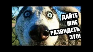 Развидеть это! Конкурс Мисс Вселенная. Какой позор!