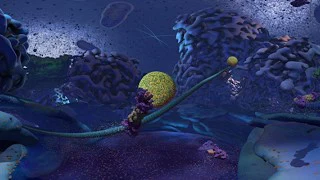 Cellscape VR Biology Guided Tour