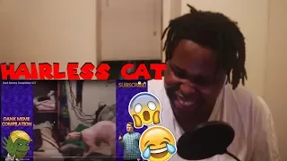 Dank Memes Compilation V27 REACTION