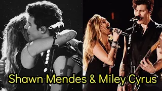 Shawn Mendes & Miley Cyrus Performance Grammys 2019 ❤️