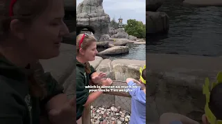 Bird Show at the STL Zoo | Day 259/365