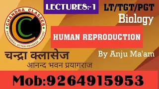 LT,TGT,PGT BIOLOGY || HUMAN REPRODUCTION || LECTURE -1 || BY ANJU MAM