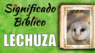 Lechuza Significado Bíblico | ¿Qué Significa Lechuza en la Biblia? 🙏