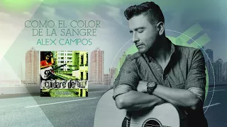 Como el color de la sangre - Alex Campos - Cuidaré de ti | Audio