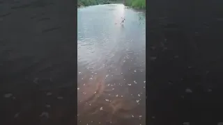 Rio Seridó com água para açude Boqueirão de Parelhas RN