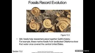 67  C13P1 Evidence for Evolution B21