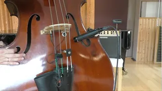 Using a Shure SM57 with an H-Clamp to amplify a DOUBLE BASS - (Quick video as a reply to a comment)