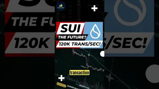 🚀Revolutionizing Crypto: Sui Blockchain's 🚀Blazing Fast 120,000 Transactions per Second Speed