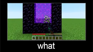 Minecraft wait what meme part 49 (how to break portal?)