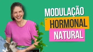 Modulação Hormonal Natural | Clarine Kuhlkamp