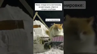 #Shorts №467 #Юмор #Смех #Приколы #Мем #Мемы #tiktok #Memes #ТикТок #Meme