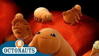 Octonauts - The Water Bears | Cartoons for Kids | Underwater Sea Education