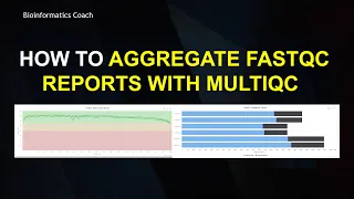 FastQC Tutorial | How to Aggregate Multiple FastQC Reports into a Single Output File using MultiQC