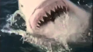Shark Attack 3 Megalodon Worst CGI