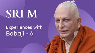 Experiences with Maheshwarnath Babaji (6) | Sri M